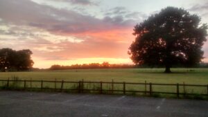 Sunset, Eastwell Manor