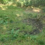 Site of Search Lights